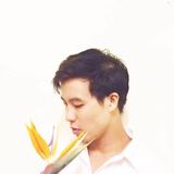 Sovy Han