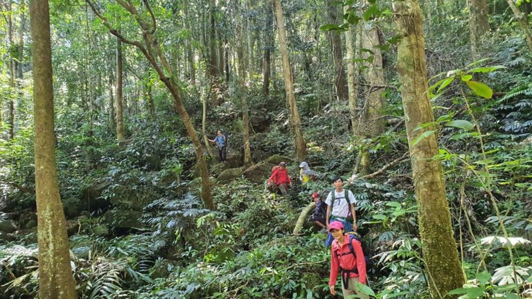 Đi giữa cây lá, đất trời, ta thành thật hơn với chính mình. | Nguồn: Trân Đỗ