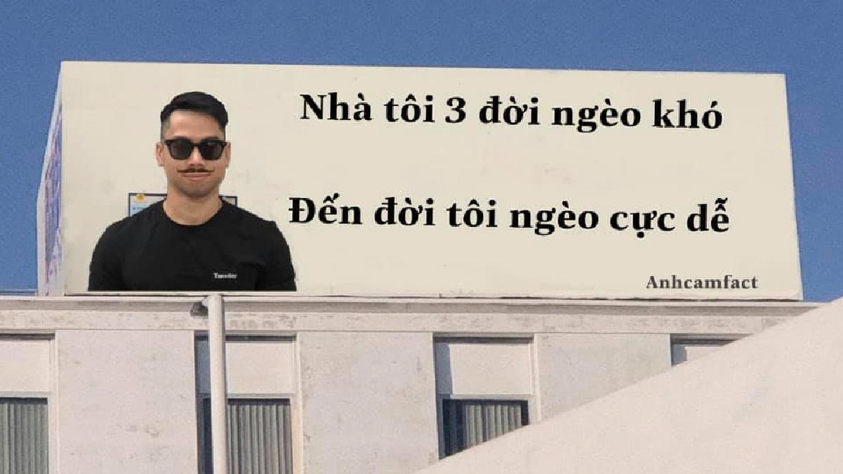 Anh C m Fact Ngh c m Fact C G Kh Vietcetera