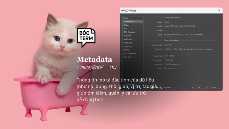 Nguồn: Thiết kế bởi Trung Nguyễn cho Vietcetera