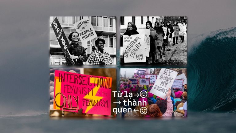 Nguồn: Tổng hợp