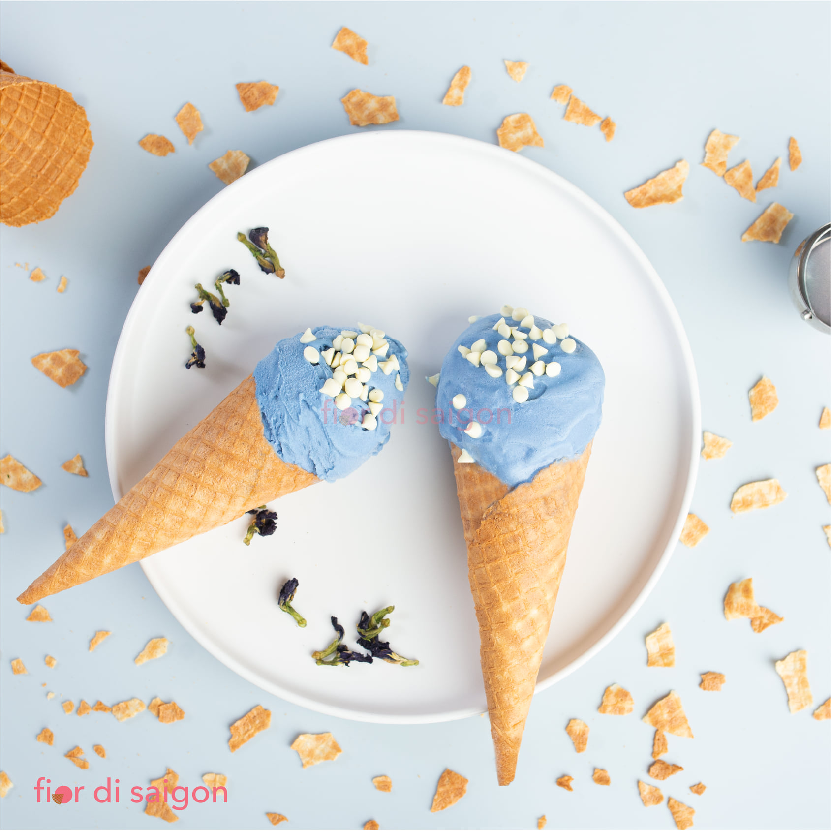 Blue Jasmine xanh mịn | Nguồn Fior di Saigon