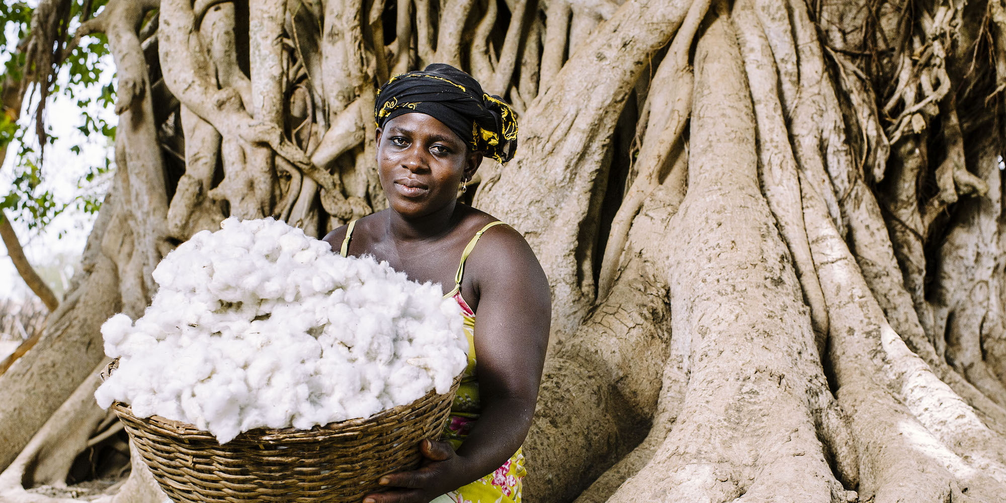 Cotton — Bài toán đạo đức của ngành công nghiệp thời trang Vietcetera