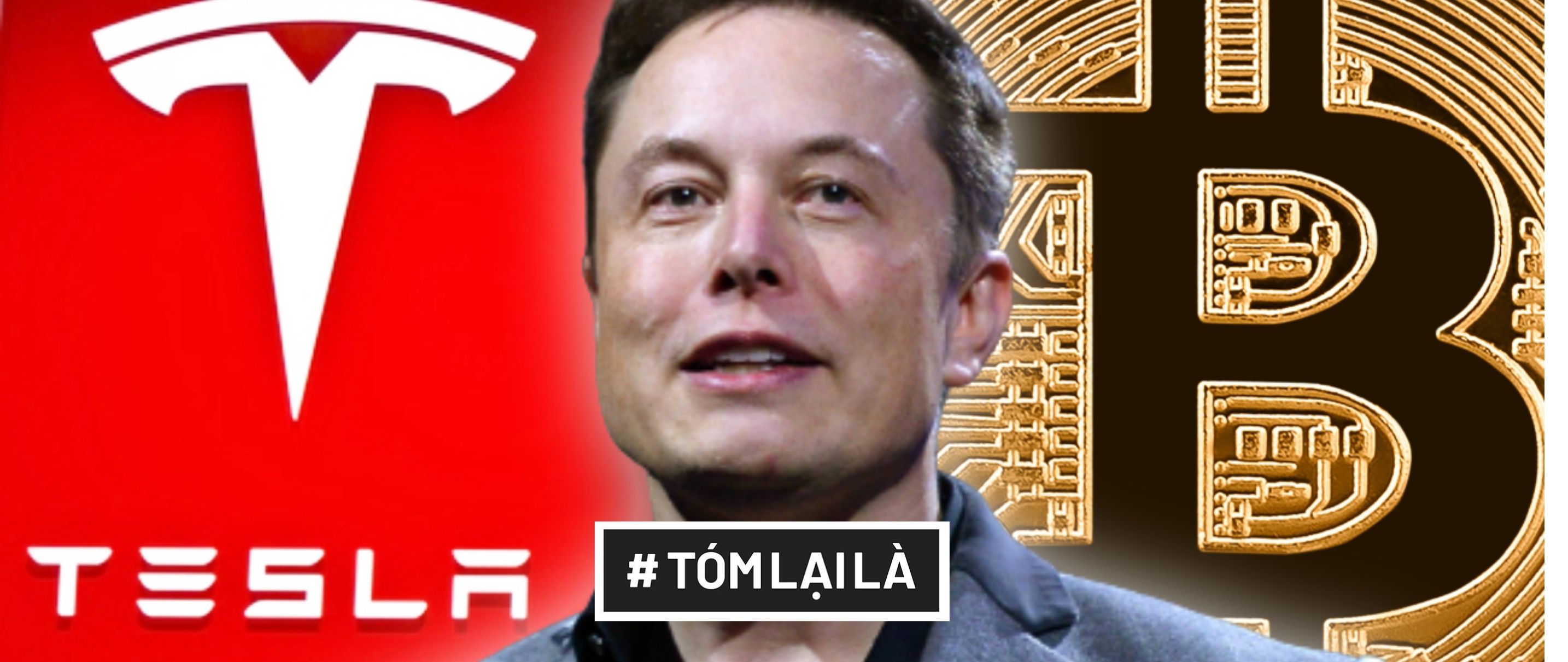 Elon Musk Roi Openai Vi Bat Dong Y Kien Voi Dinh Huong Tuong Lai Cua 