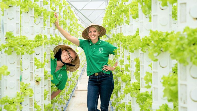 Nguồn: Orlar Vietnam