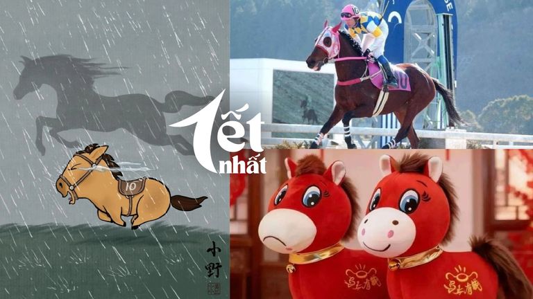 Bạn đã biết gì về những chú ngựa rất biểu tượng này? | Nguồn: Horse Network, Znews