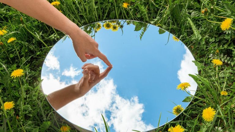 Nguồn: Shutterstock