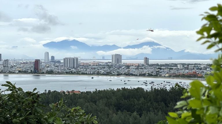 Swarms of low-flying dragonflies in Vietnam’s port city of Da Nang portend rain. | Source: @hoang.ela