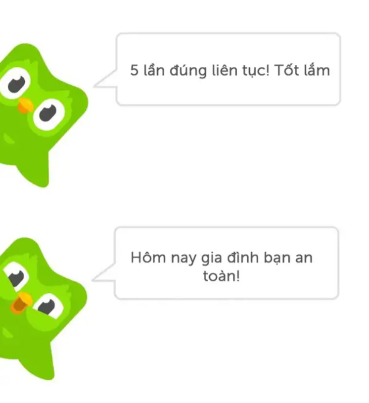 Muốn bảo vệ cho gia đình thì hãy học Duolingo | Nguồn Lostbird titleMuốn bảo vệ cho gia đigravenh thigrave hatildey học Duolingo Nguồn Lostbird