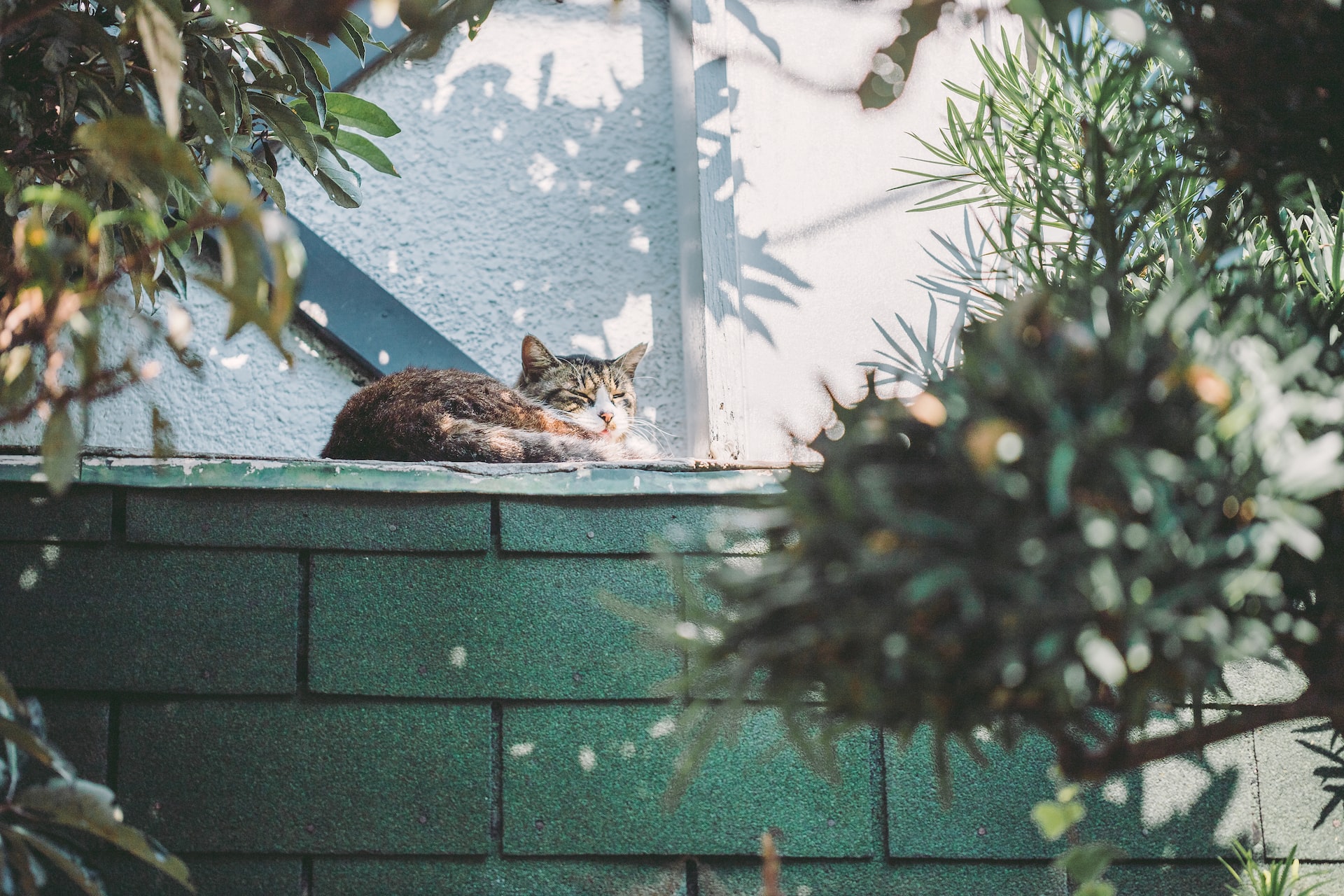 Mỗi người có một kiểu đủ khác nhau | Nguồn Duong ThinhUnsplash Mỗi người coacute một kiểu quotđủquot khaacutec nhau