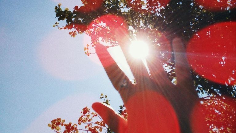 Mùa hè đến cùng ánh nắng, và cả không ít "thủ phạm" vô hình ảnh hưởng đến sức khỏe con người.. | Nguồn: Pexels