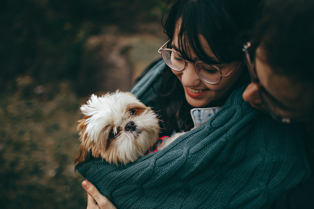 Vấn đề ranh giới xảy ra phổ biến nhưng khó nhận diện | Nguồn Pexels tigravenh yecircu bền vững