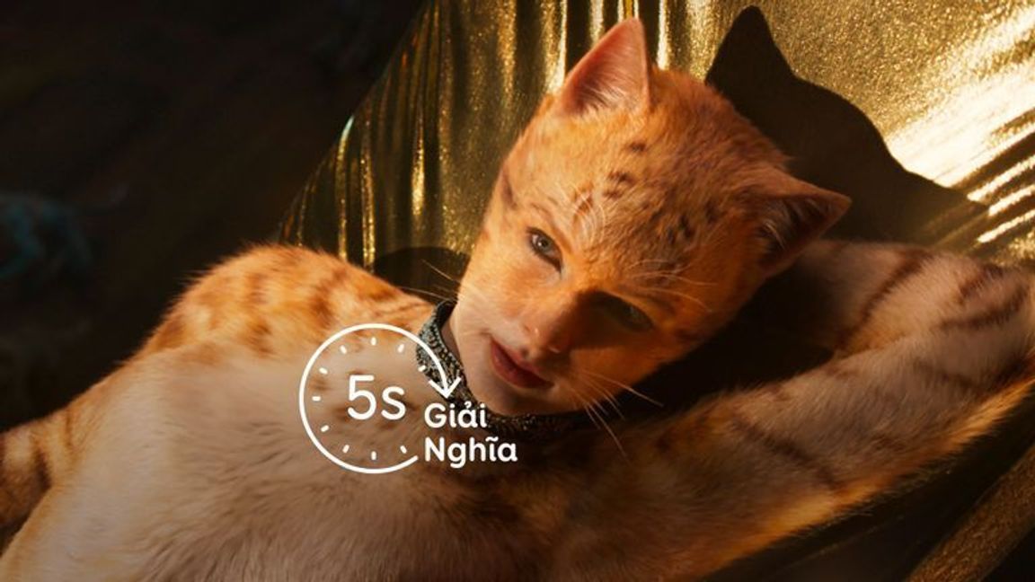 5s Giải Nghĩa
