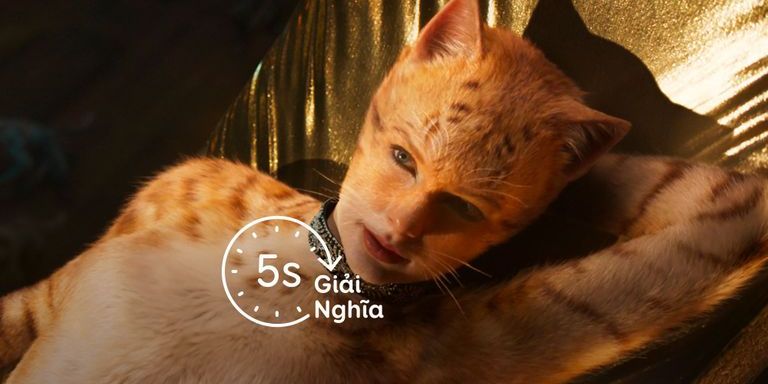 Bộ sưu tập 5s Giải Nghĩa Bộ sưu tập 5s Giải Nghĩa
