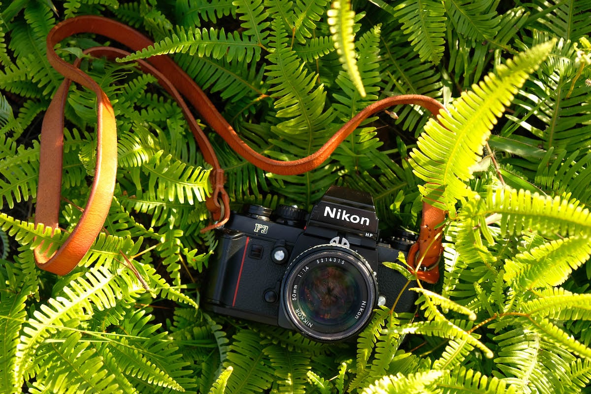 Nguồn Nguyệt Âu Camera