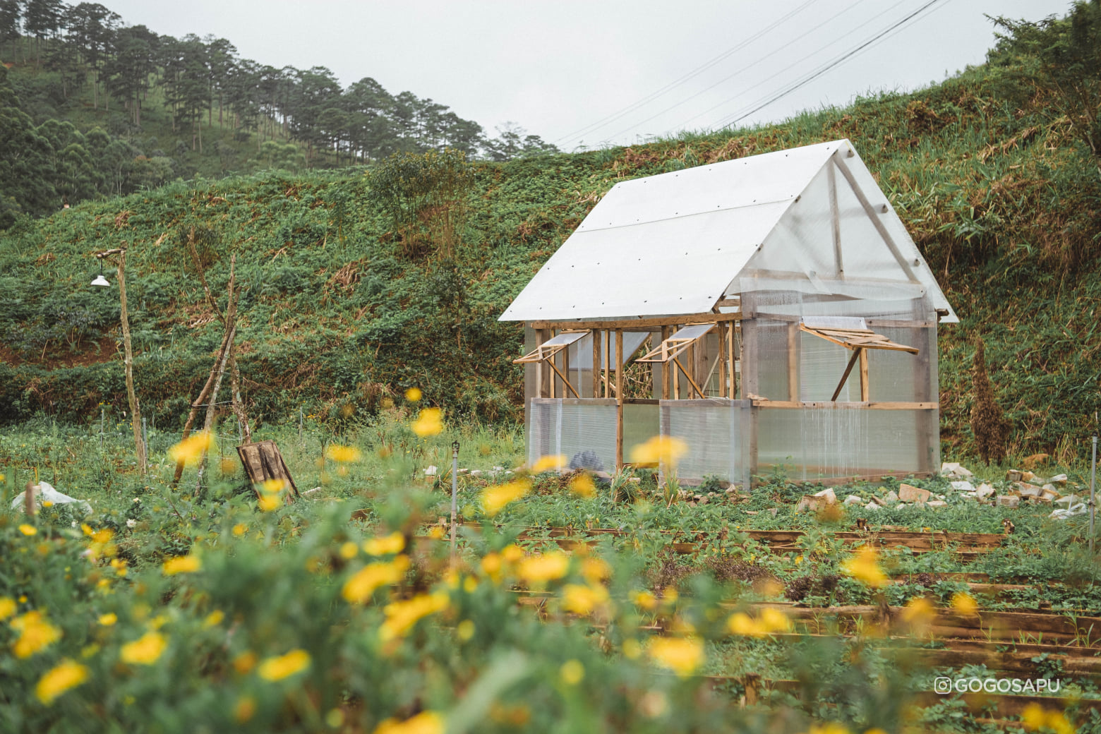 dalat camp cam trai ngoai troi