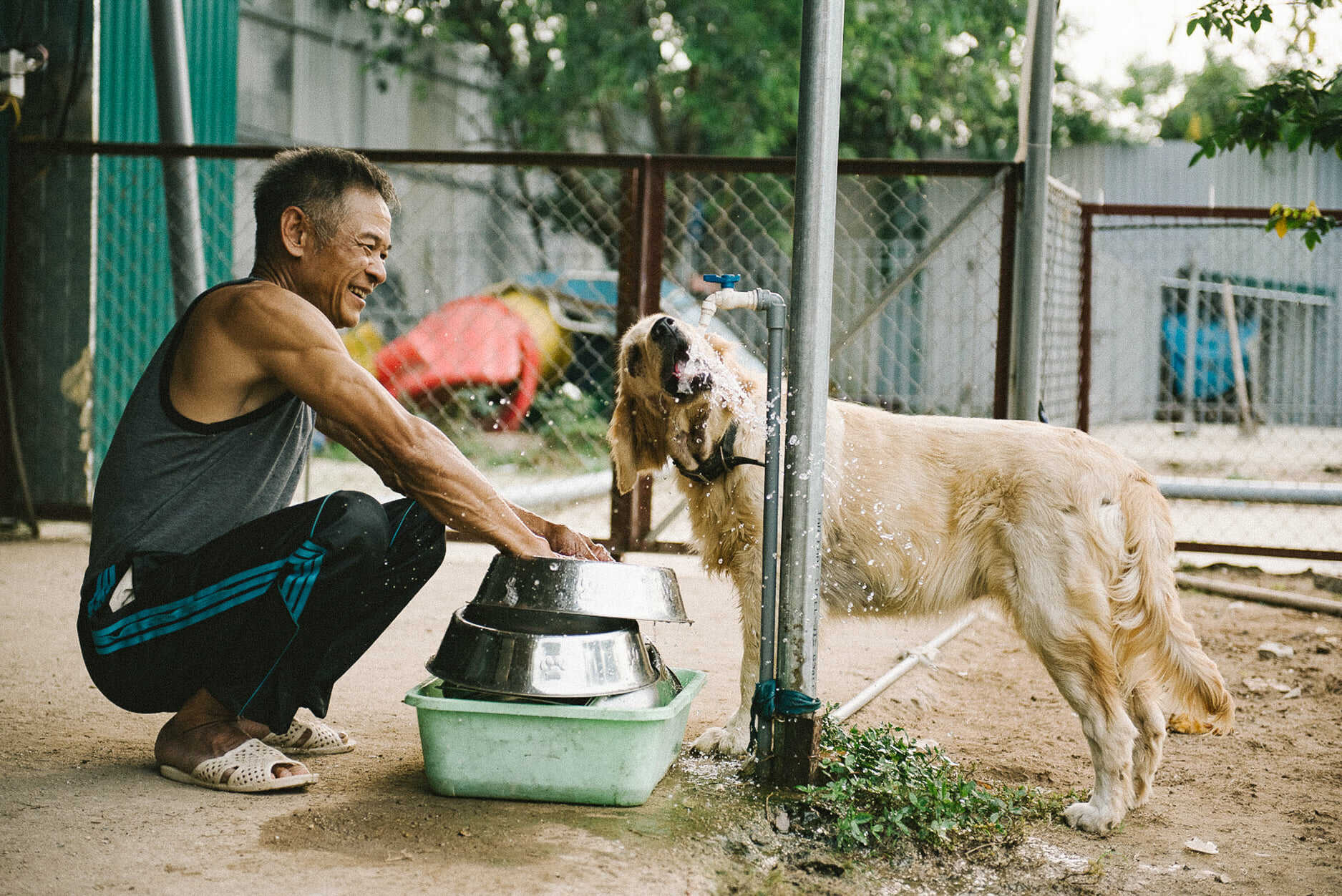 Bác Nọn | Nguồn Việt đi linh tinh LoiLoi_10