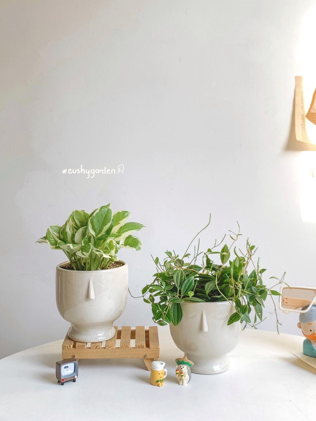Ngoài chậu cây xinh Cushy còn bán cả phụ kiện nhỏ trang trí chậu cây | Nguồn Cuhsy Garden 5 tiệm cây