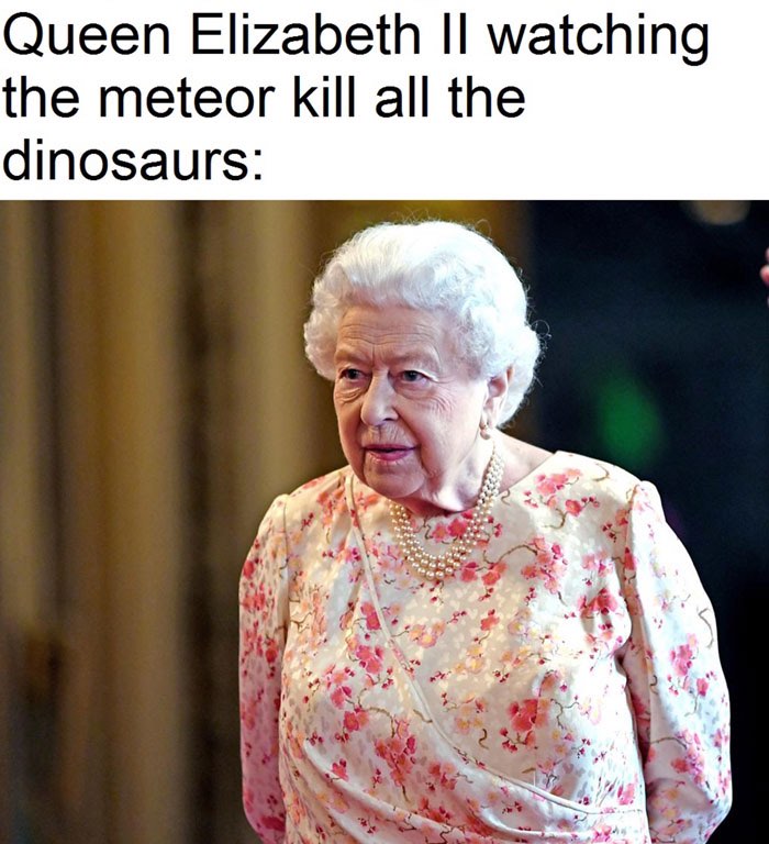 Nữ hoàng đã từng thấy khủng long tuyệt chủng | Nguồn knowyourmeme