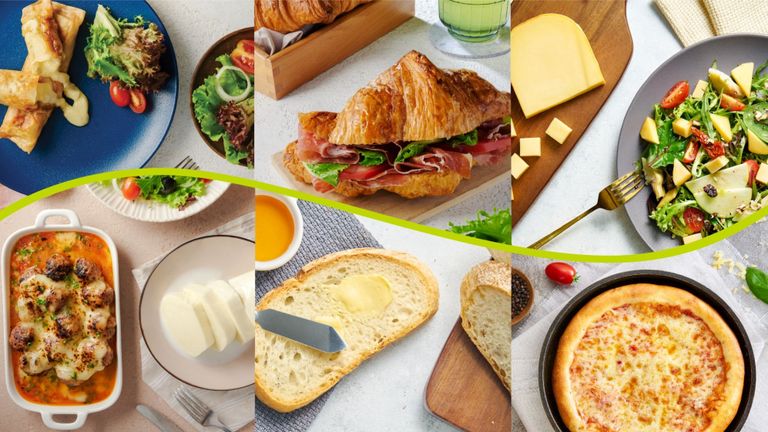 Nguồn: Bottega Zelachi