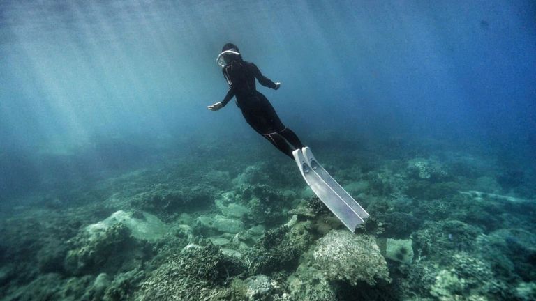 Nguồn: Katherine Nguyễn 