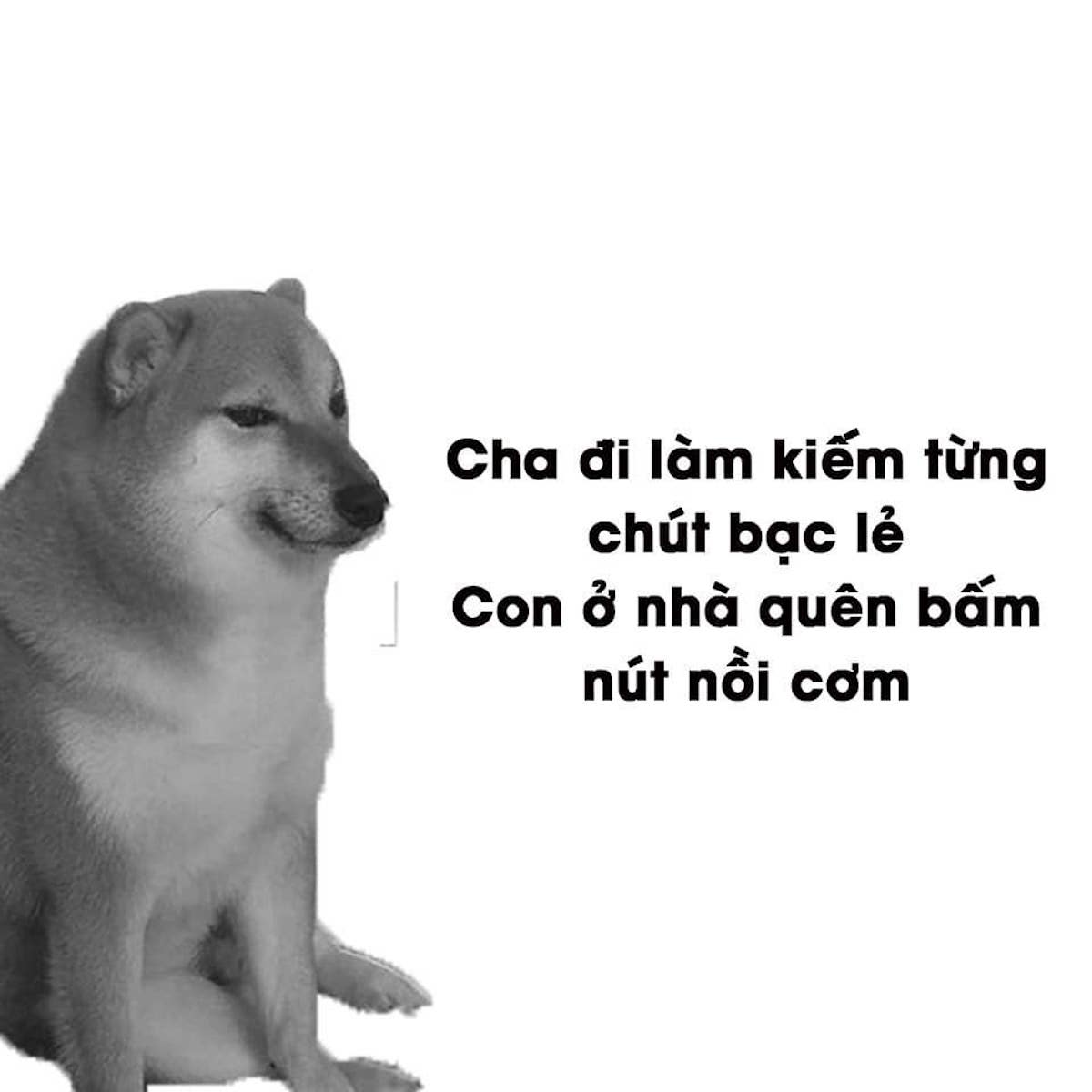 Bố bảo ngu ngốc cũng là một loại tài năng Định luật Murphy 11 | Nguồn Anh Da Đen Bố bảo ngu ngốc cũng là một loại tài năng Định luật Murphy 11 Nguồn Anh Da Đen