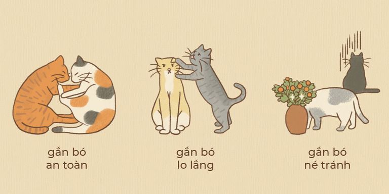 Những kiểu gắn bó thường được đề cập Chaacuten MBTI tham khảo ngay 7 bagravei trắc nghiệm tiacutenh caacutech nagravey
