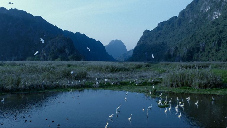 Nguồn: STORII Original Documentary 