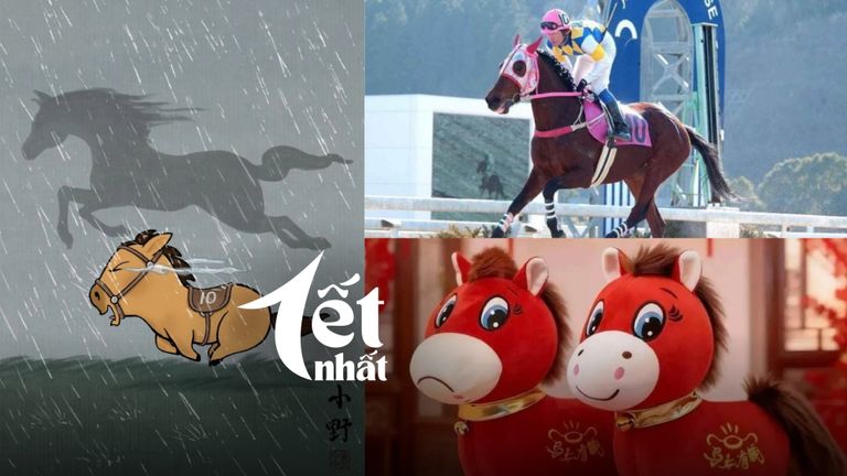Bạn đã biết gì về những chú ngựa rất biểu tượng này? | Nguồn: Horse Network, Znews