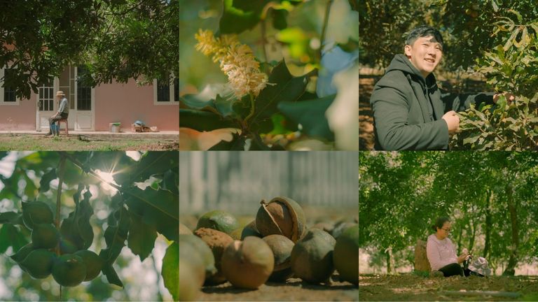 Nguồn: Maca Đại Việt