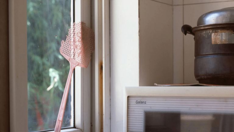In Vietnam, mosquito defense begins at home: beside the window, near the kitchen, and always within arm’s reach. | Source: Pexels