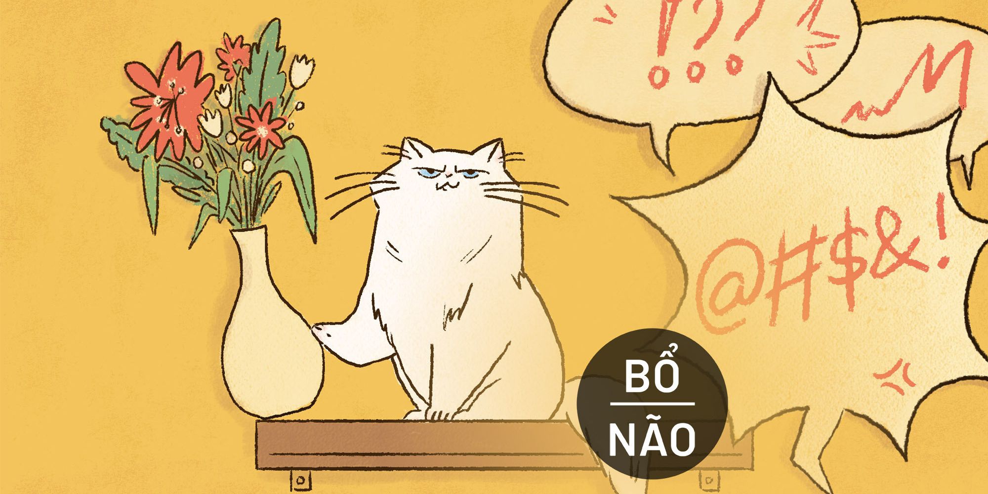 Bộ sưu tập #Bổ Não Bộ sưu tập #Bổ Não