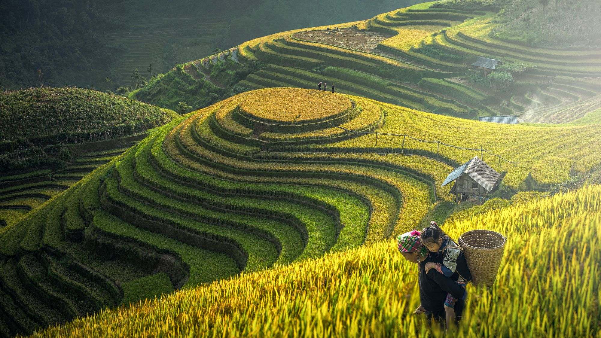 The rice terrace fields in Sapa have been formed for hundreds years and it is all due to the skillful hands of the minority ethnic people in Sapa | Source Shutterstock