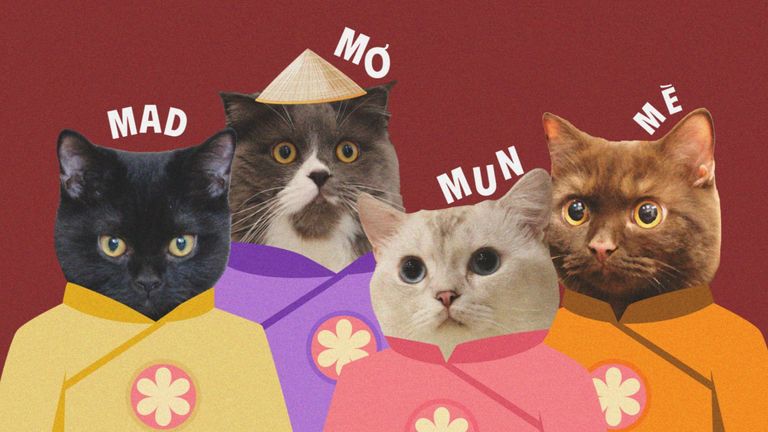 Sau thời gian dài cố gắng chụp 4 bé chung khung hình, tôi quyết định dùng ảnh ghép. | Nguồn: Vy Nguyễn cho Vietcetera