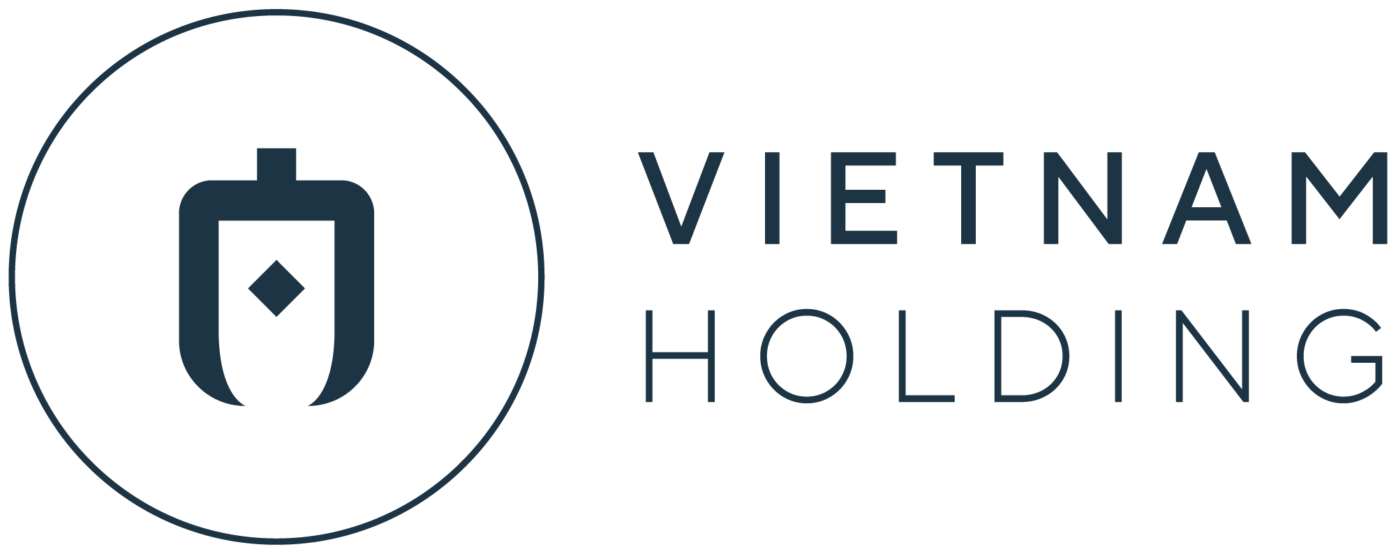 Vietnam Holding