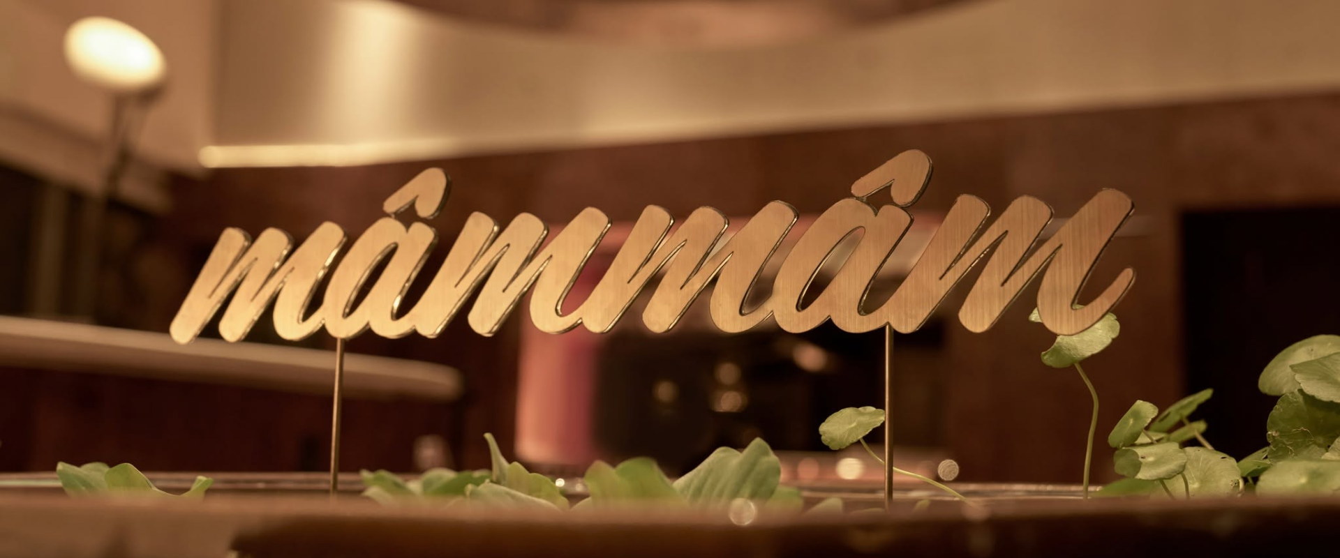 Evening ambience at Mâm Mâm
