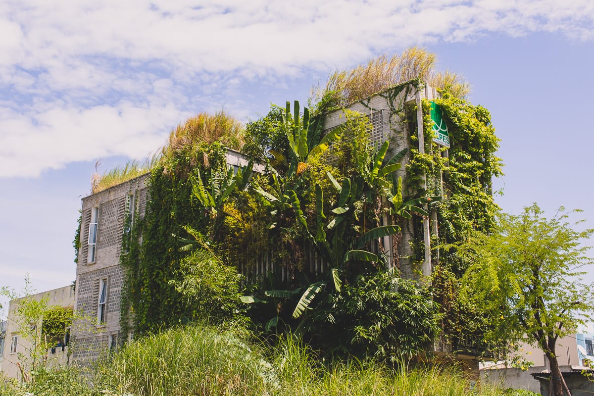 Foliage covering The Modern Village Office building Alpes Green Design And Builds EnvironmentallyConscious Construction4