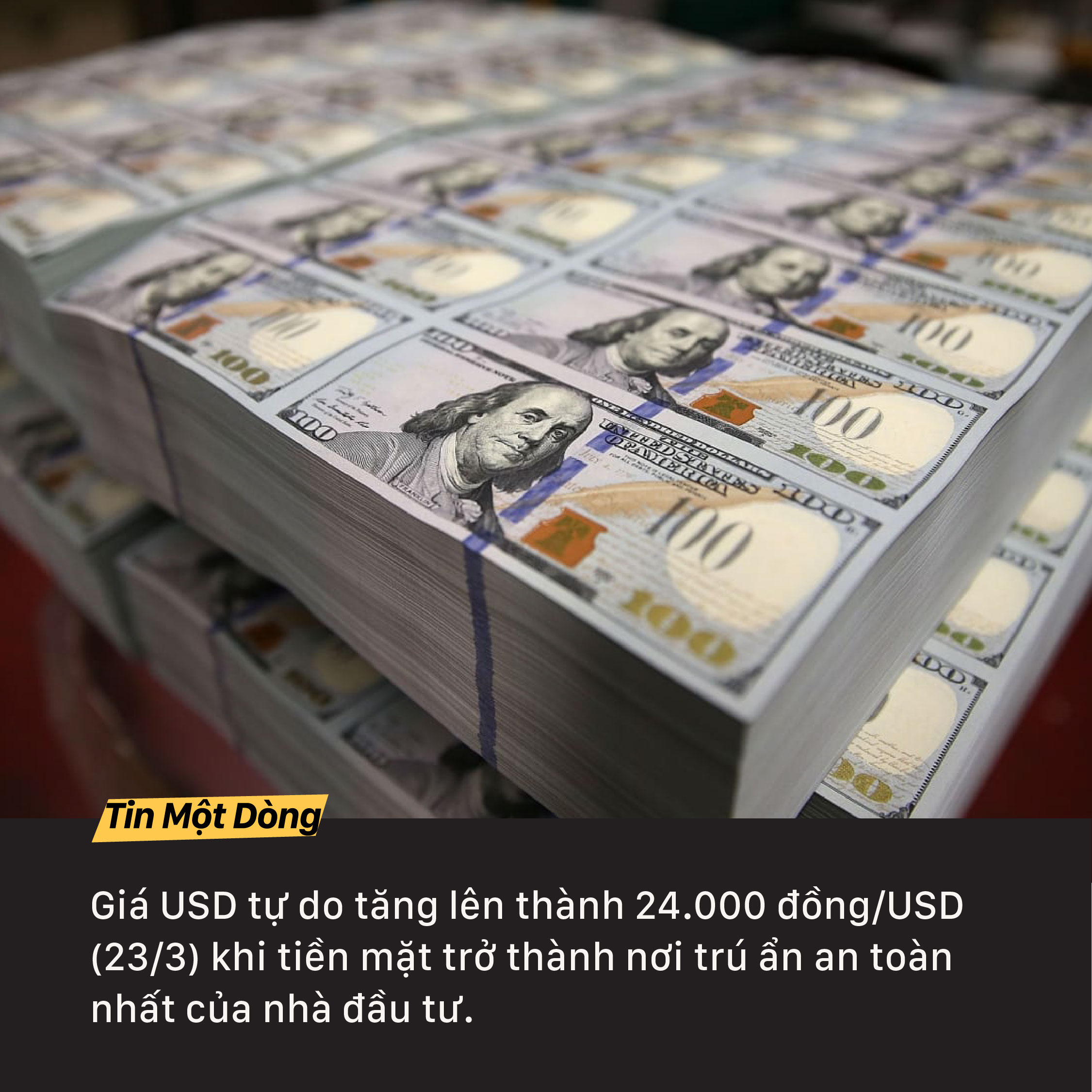 usd tự do tăng sizesmaxwidth 2251px 100vw 2251px