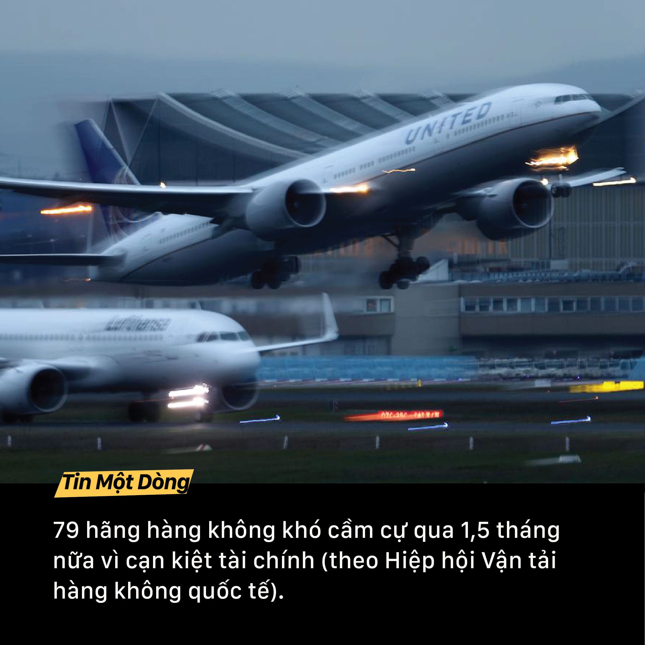 79 hagraveng khocircng chết sizesmaxwidth 2251px 100vw 2251px