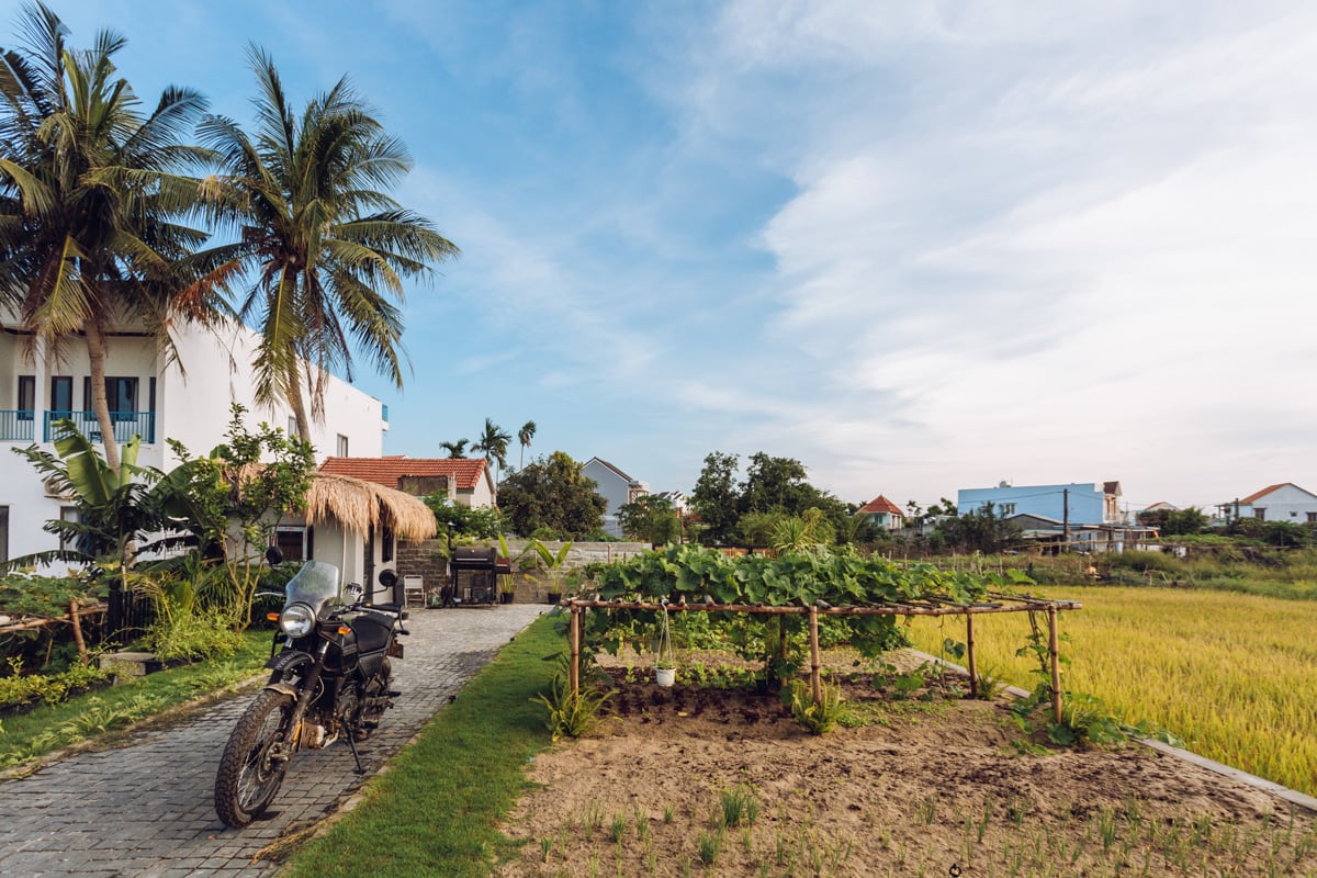 Vietcetera Visits A Modernist House In Hoi Ans Countryside6